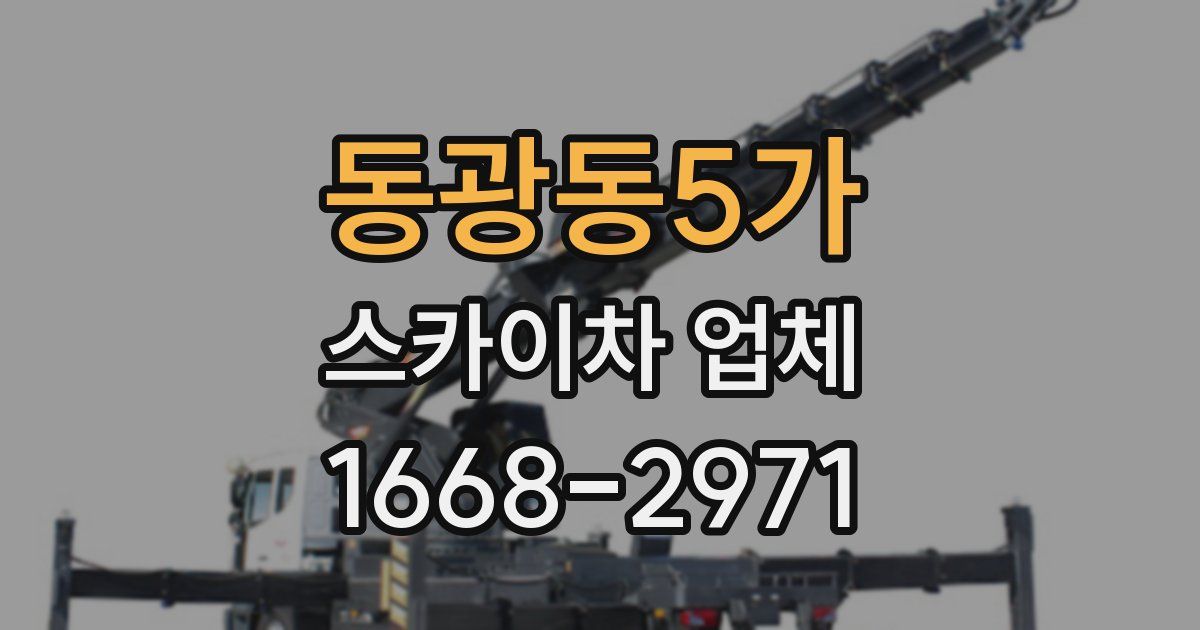 동광동5가 스카이차 업체