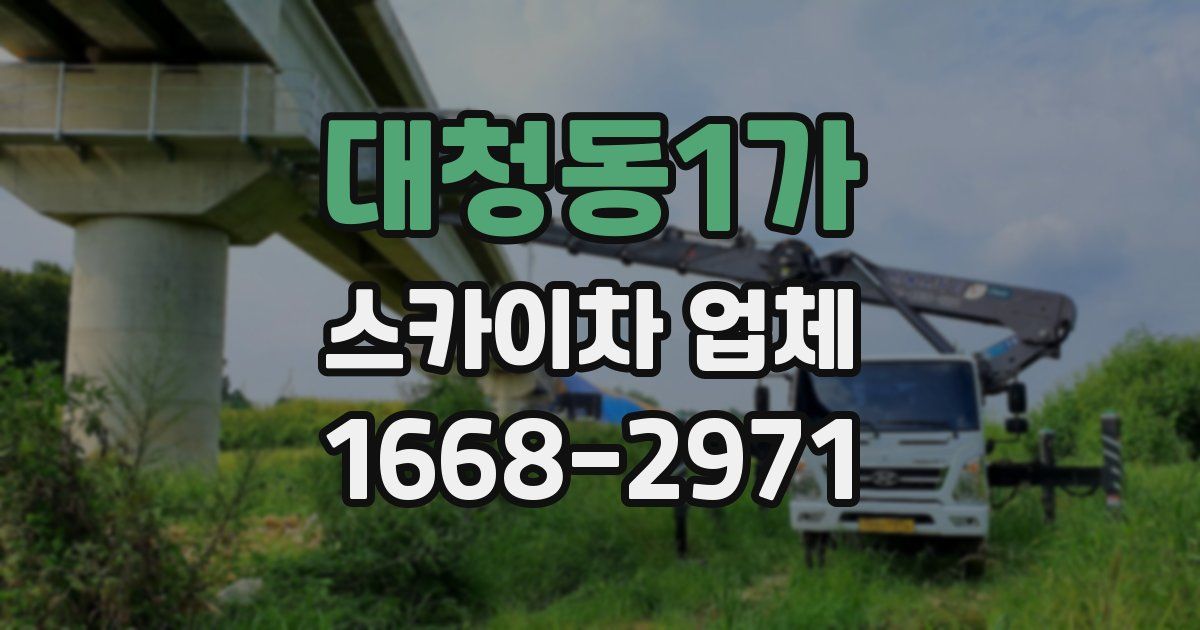 대청동1가 스카이차 업체