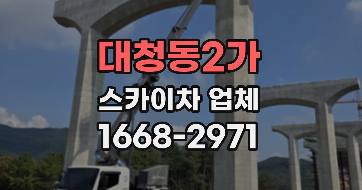 대청동2가 스카이차 업체