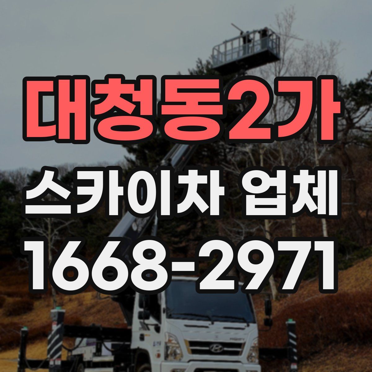 대청동2가 스카이차 업체