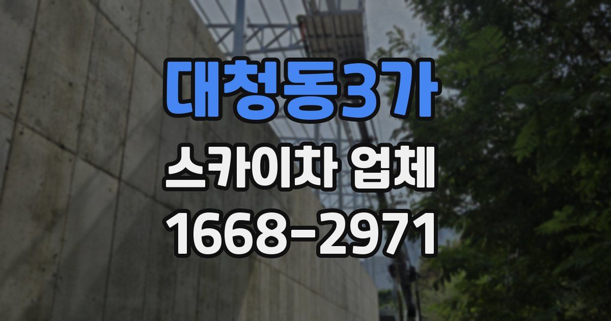 대청동3가 스카이차 업체