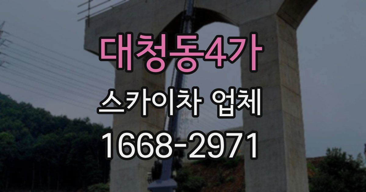 대청동4가 스카이차 업체