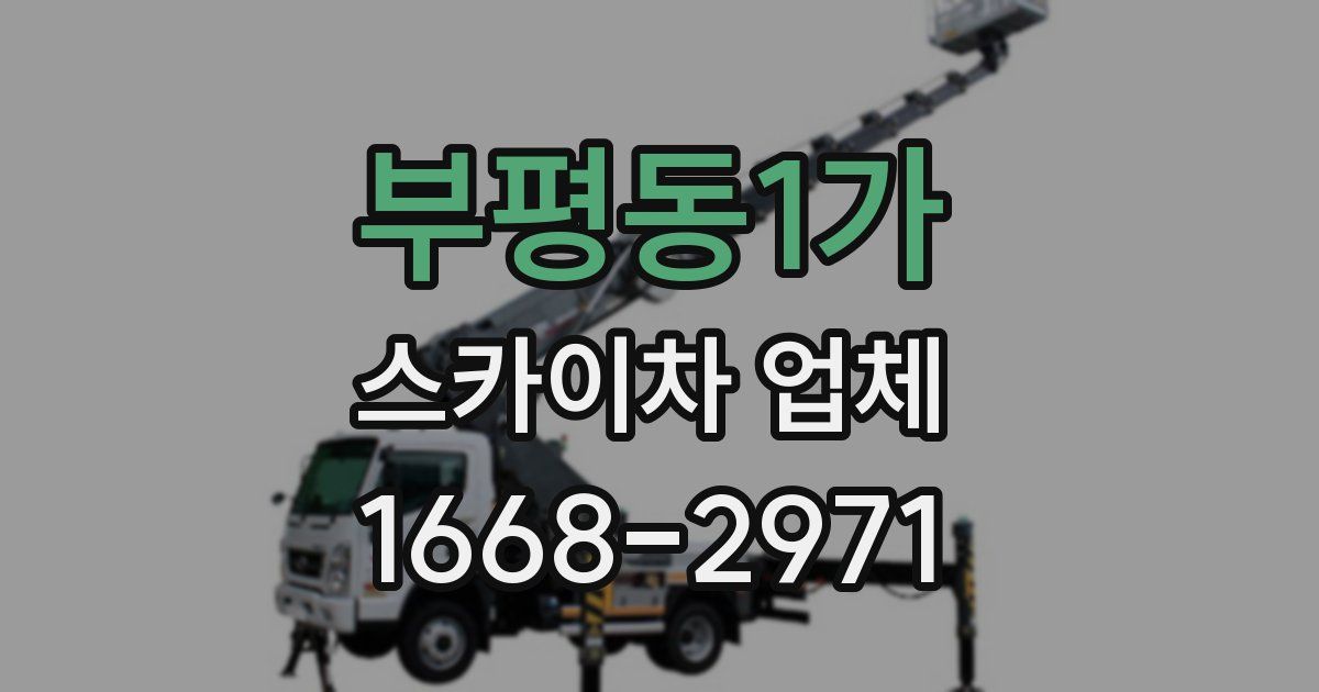 부평동1가 스카이차 업체