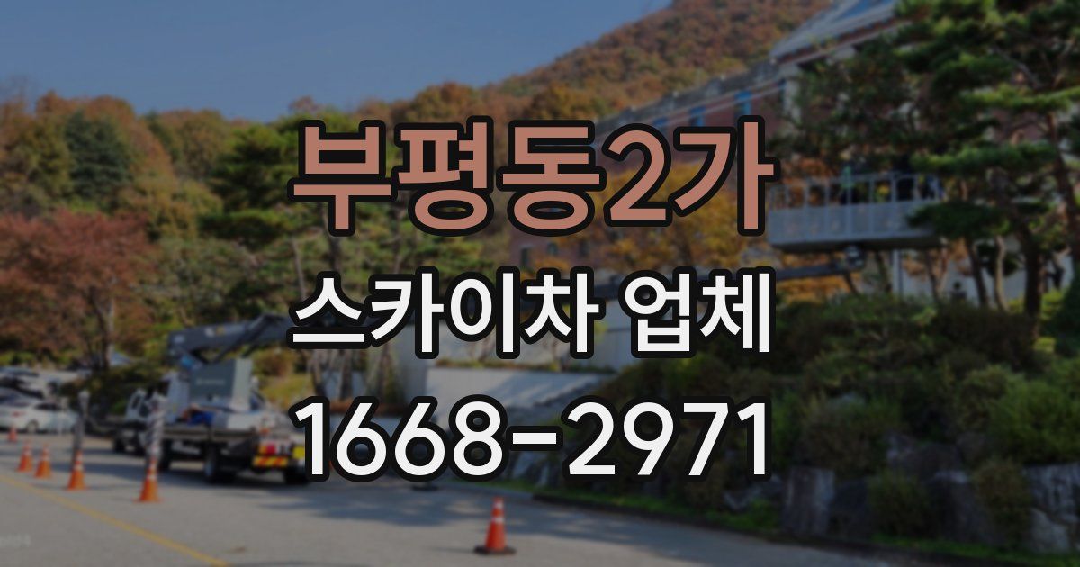 부평동2가 스카이차 업체