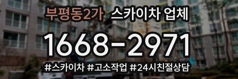 부평동2가 스카이차 업체
