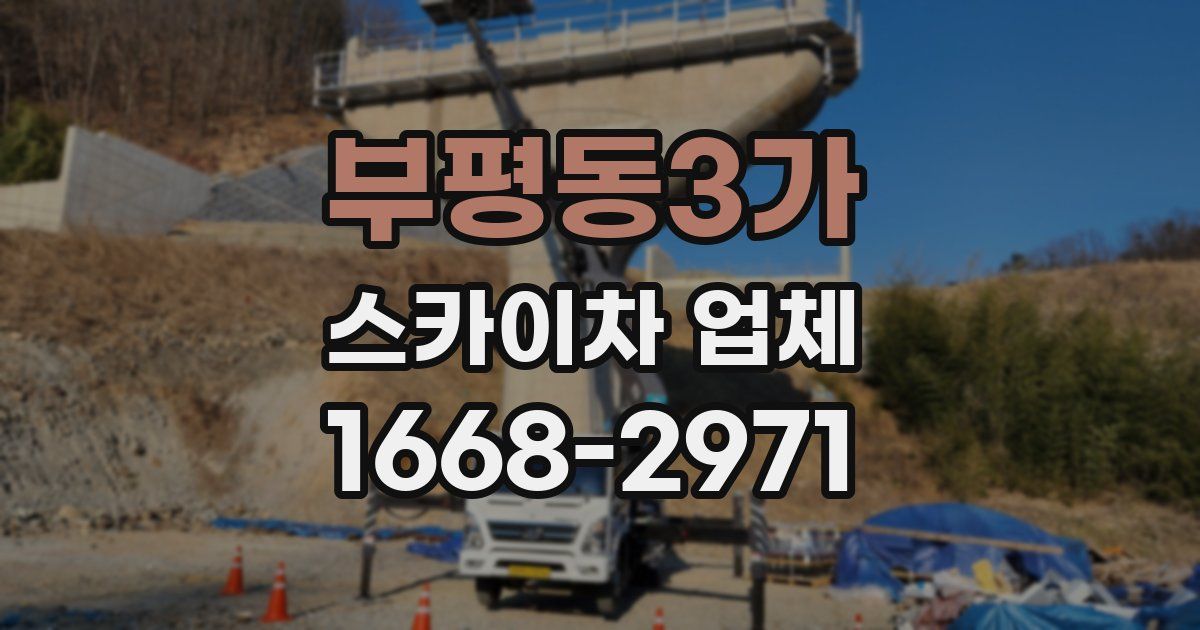 부평동3가 스카이차 업체