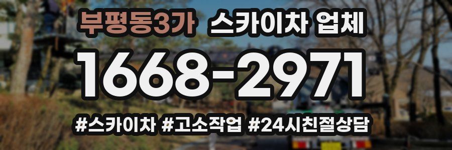 부평동3가 스카이차 업체