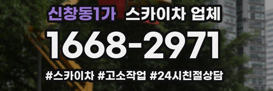 신창동1가 스카이차 업체