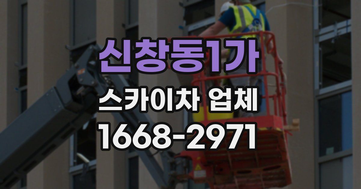 신창동1가 스카이차 업체