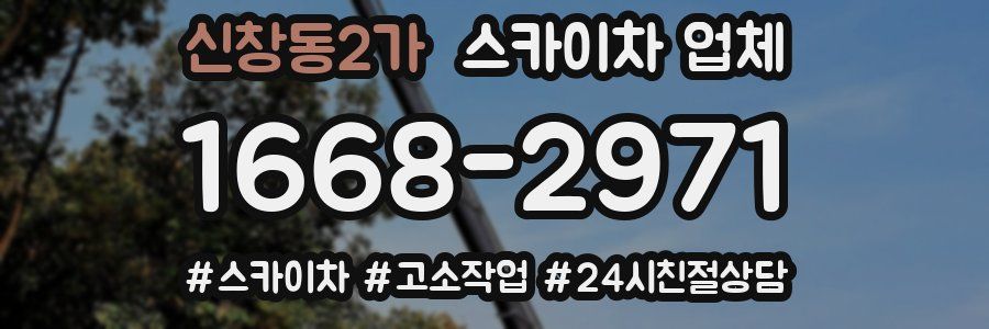 신창동2가 스카이차 업체