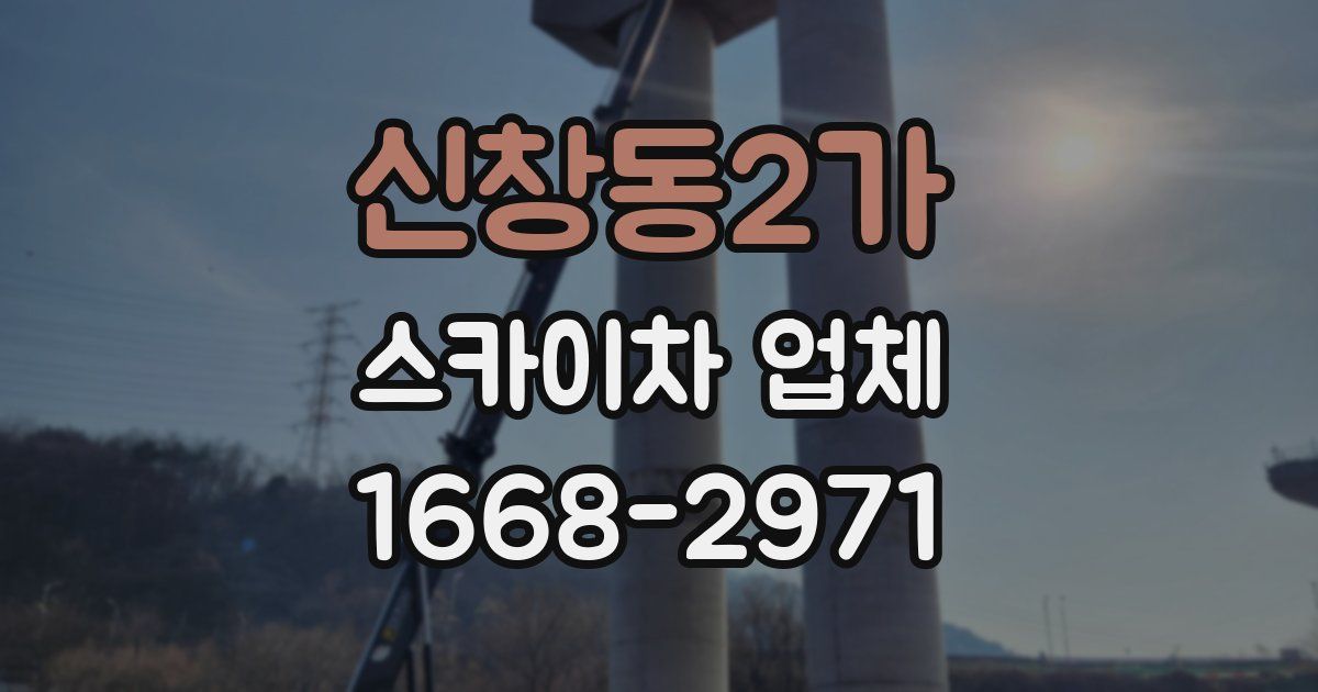 신창동2가 스카이차 업체