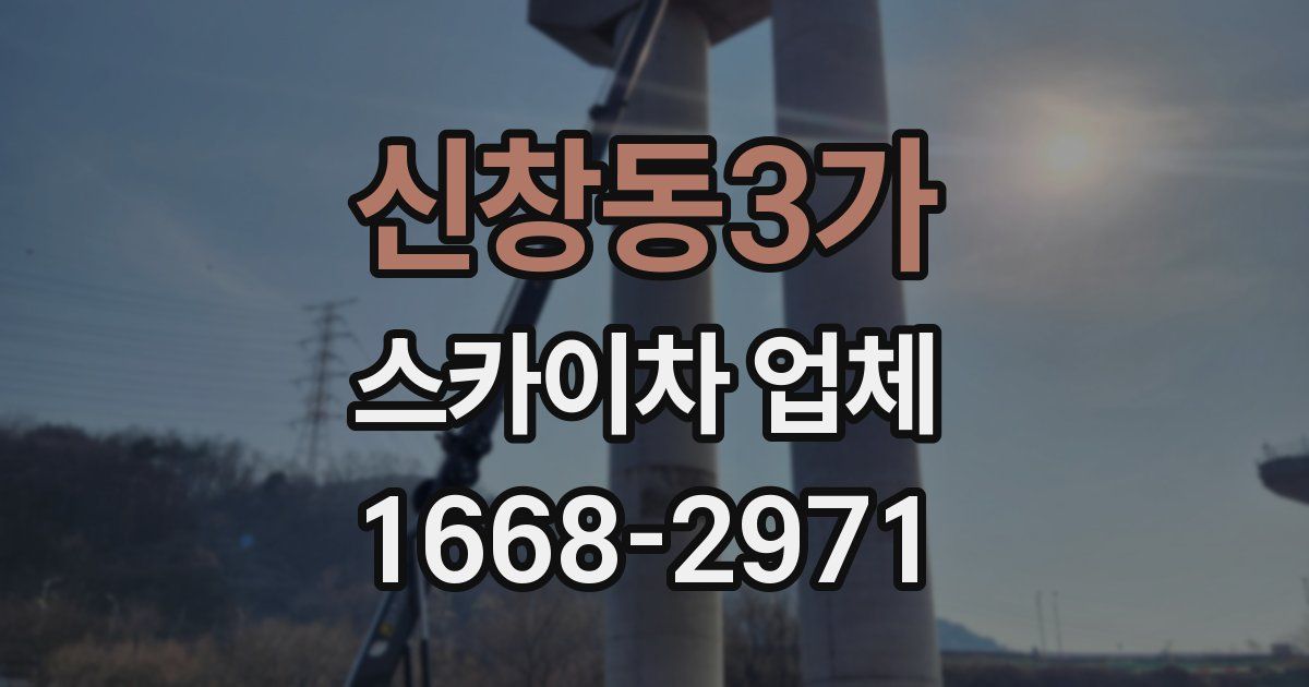 신창동3가 스카이차 업체