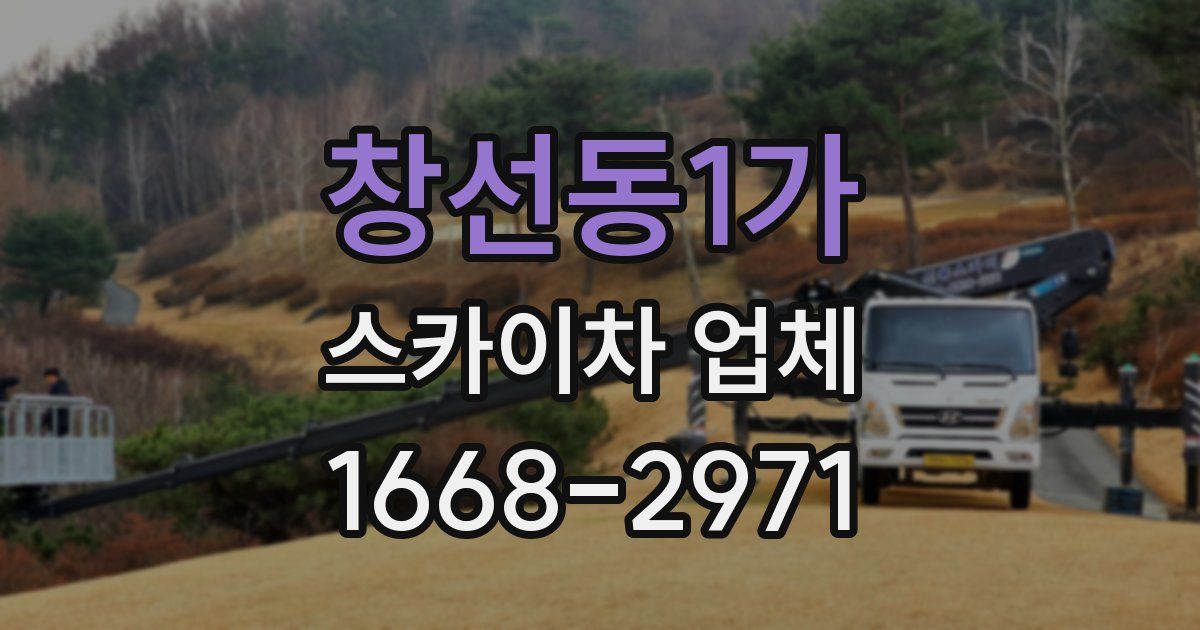 창선동1가 스카이차 업체