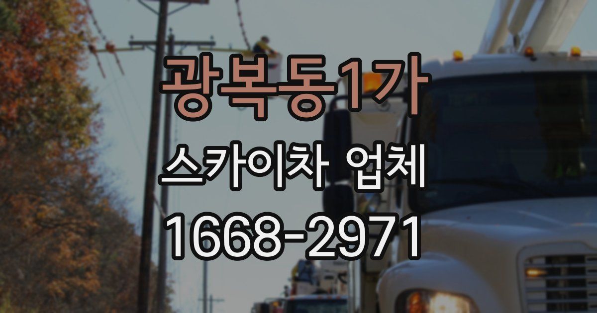 광복동1가 스카이차 업체
