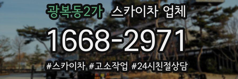 광복동2가 스카이차 업체