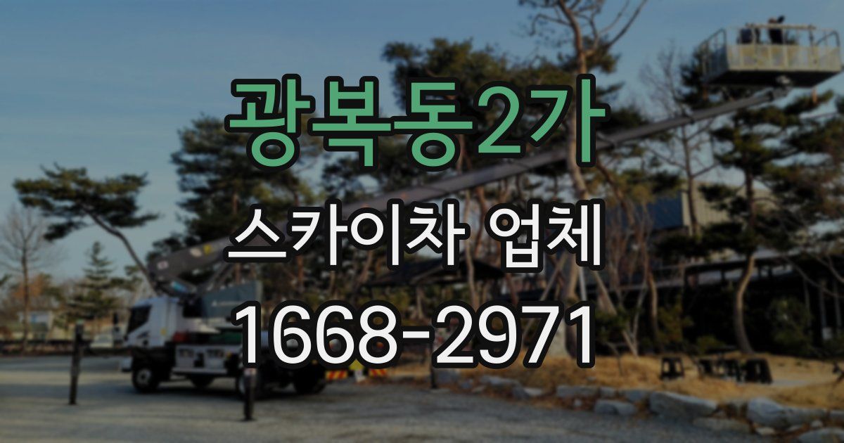 광복동2가 스카이차 업체