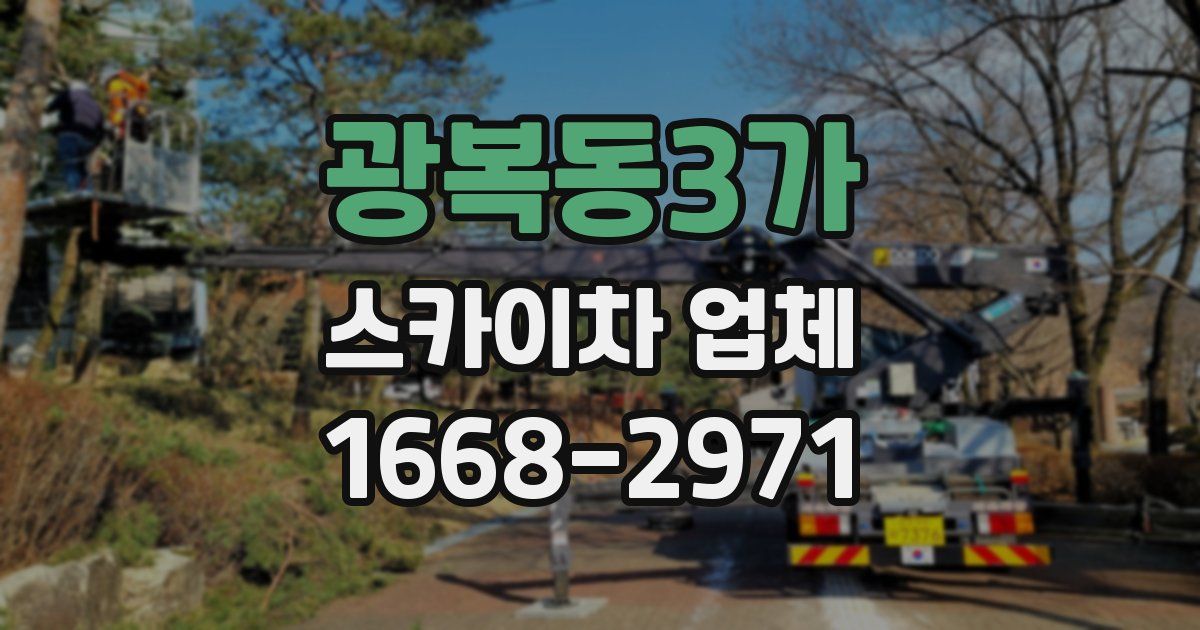 광복동3가 스카이차 업체