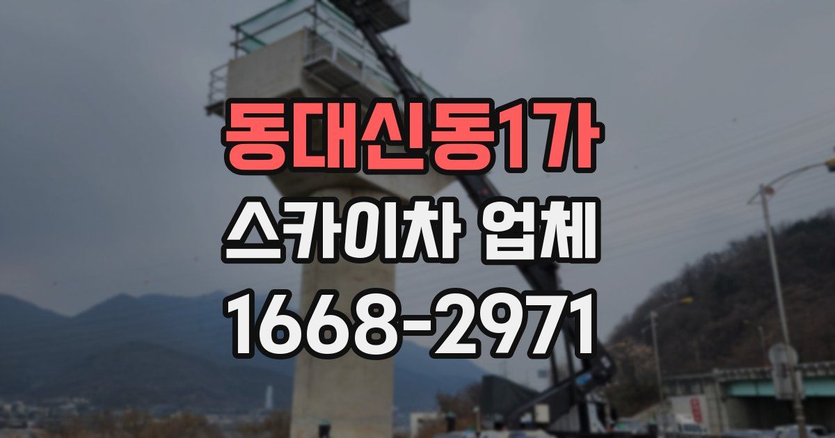 동대신동1가 스카이차 업체