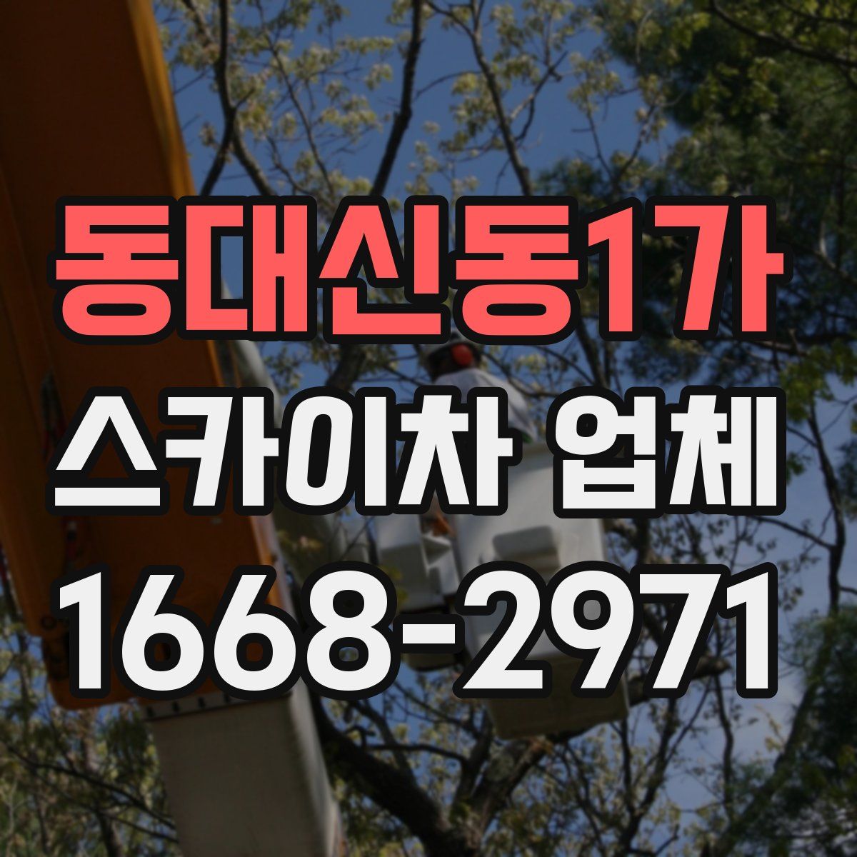 동대신동1가 스카이차 업체