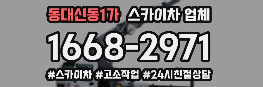 동대신동1가 스카이차 업체