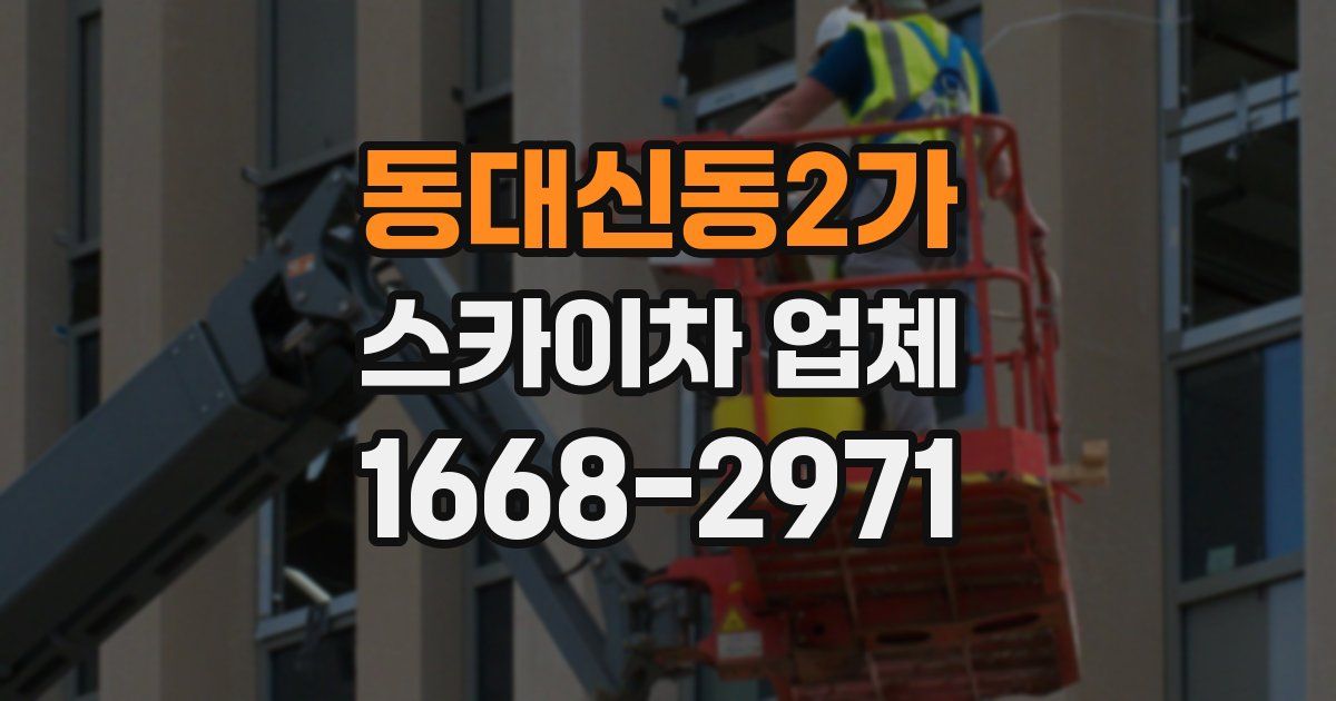 동대신동2가 스카이차 업체