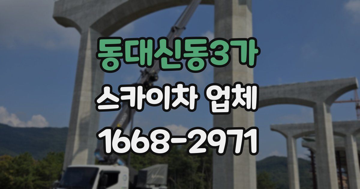 동대신동3가 스카이차 업체