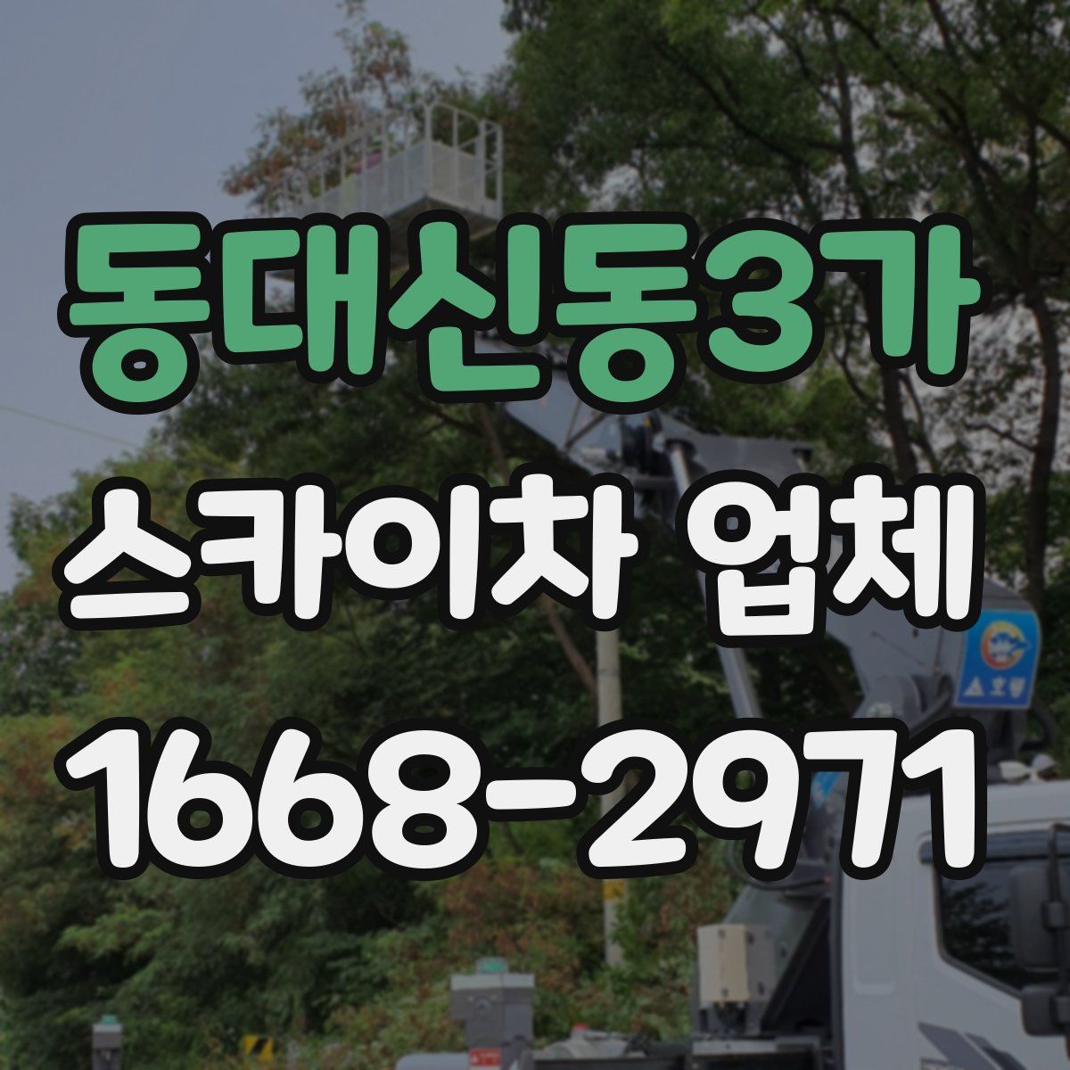 동대신동3가 스카이차 업체