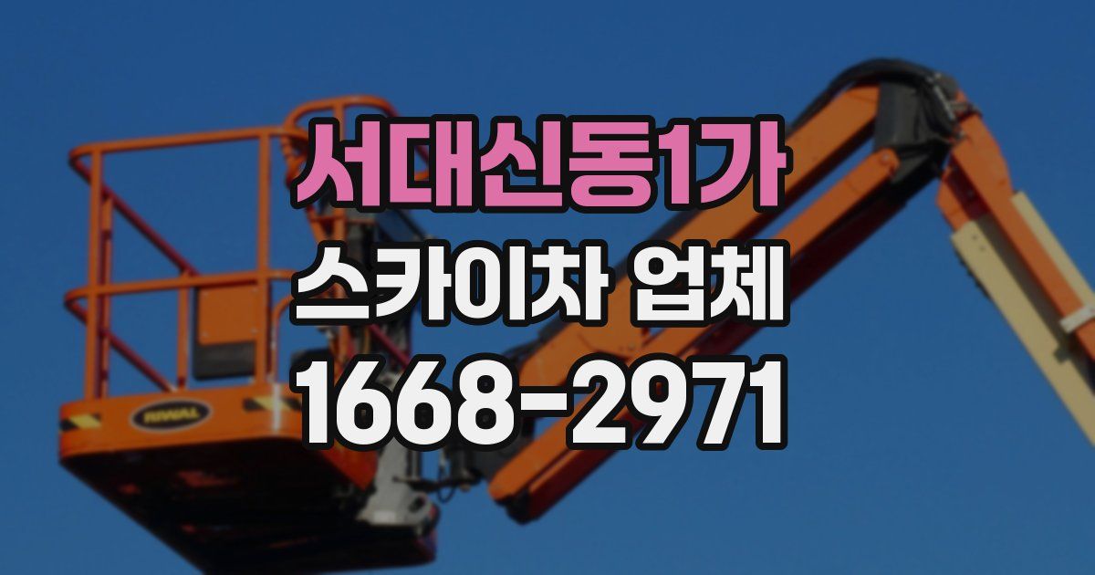 서대신동1가 스카이차 업체