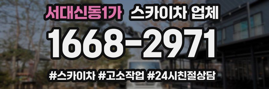 서대신동1가 스카이차 업체