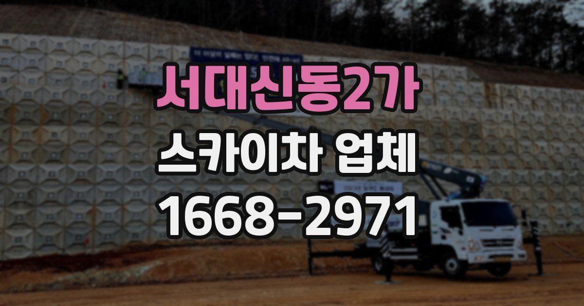 서대신동2가 스카이차 업체