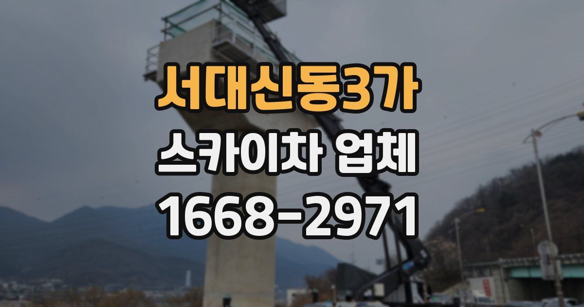 서대신동3가 스카이차 업체