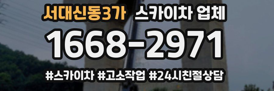 서대신동3가 스카이차 업체