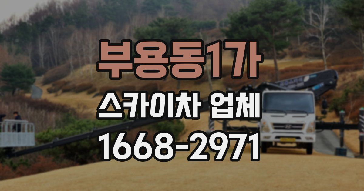 부용동1가 스카이차 업체