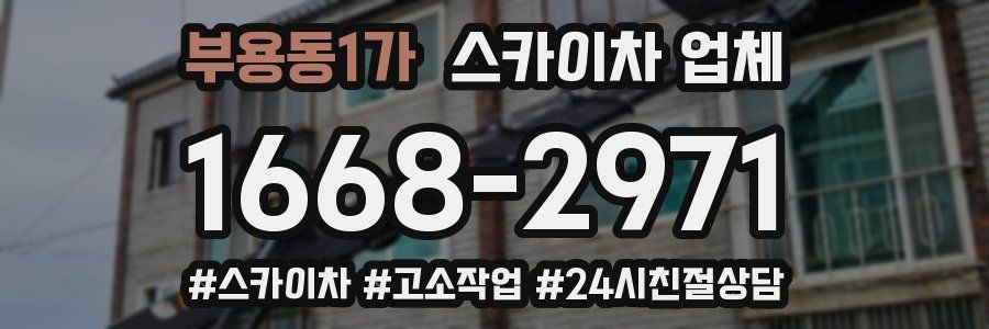부용동1가 스카이차 업체