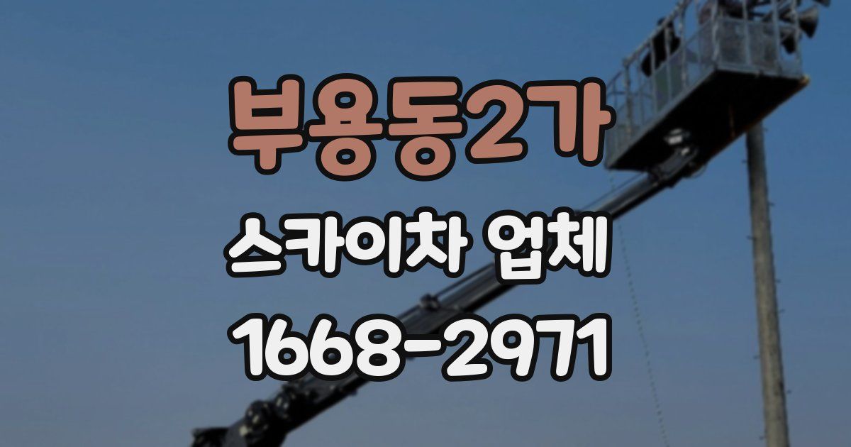 부용동2가 스카이차 업체