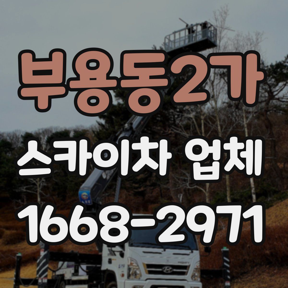 부용동2가 스카이차 업체