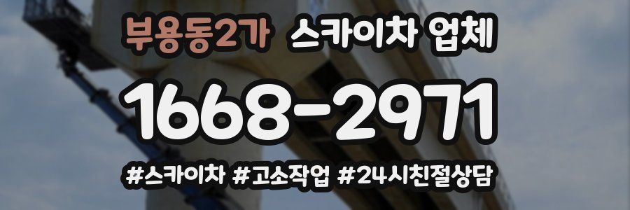 부용동2가 스카이차 업체