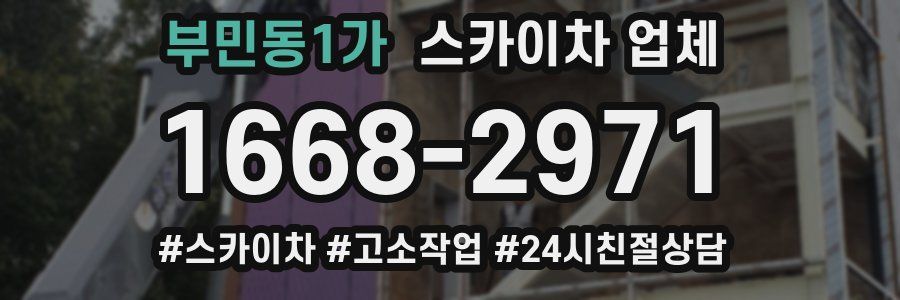부민동1가 스카이차 업체