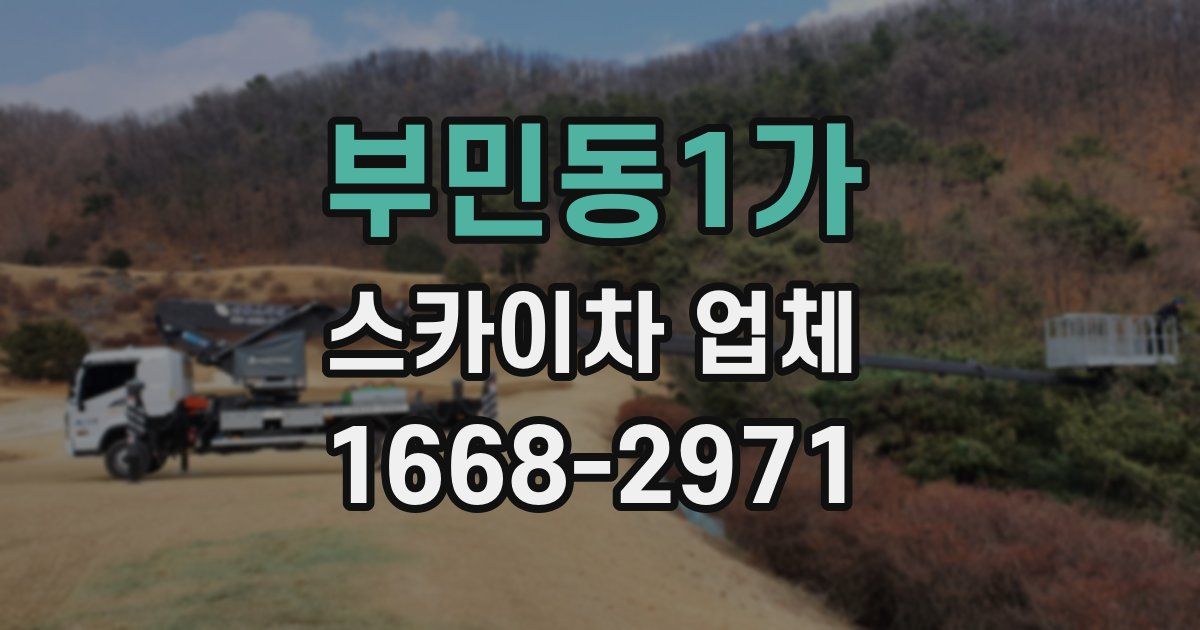 부민동1가 스카이차 업체