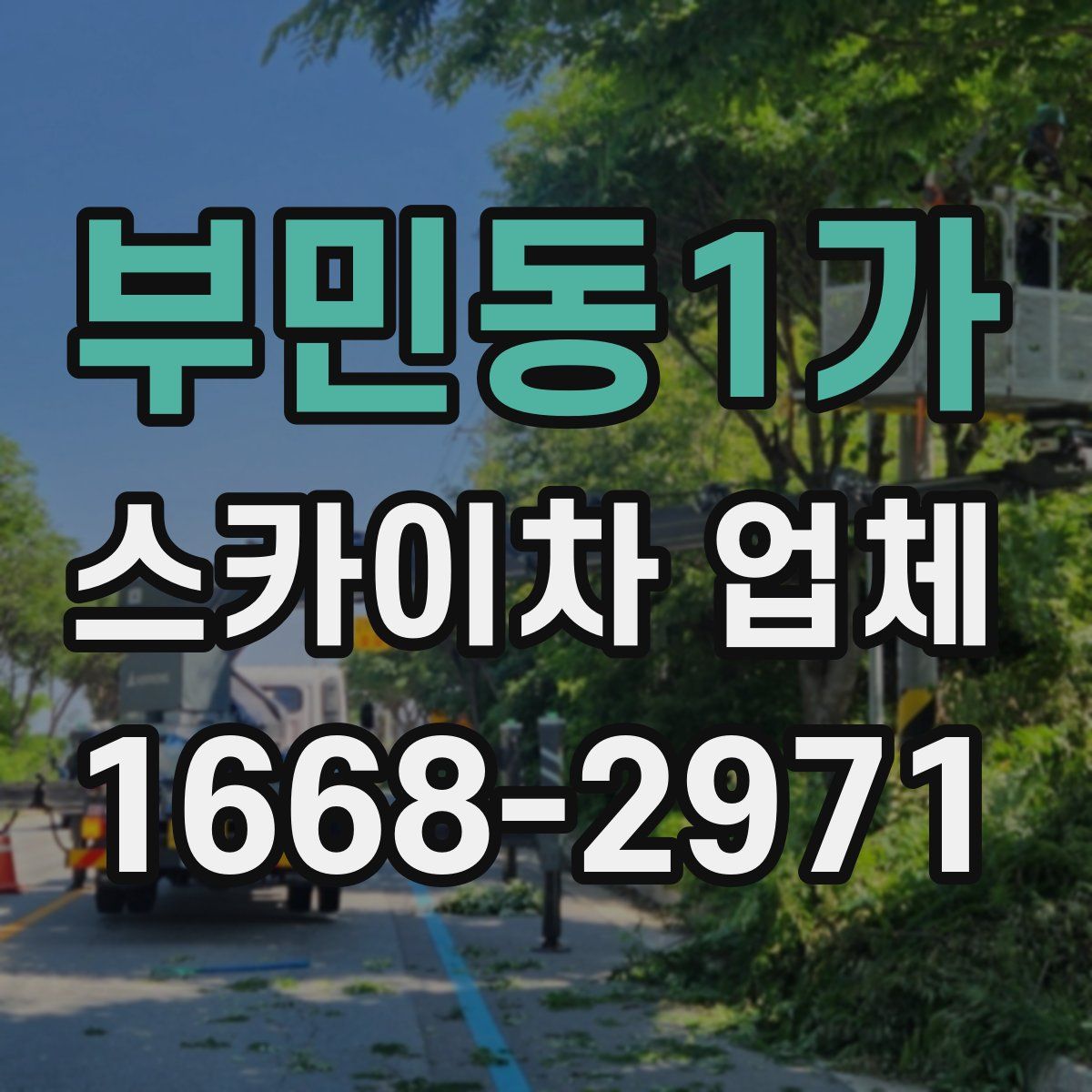 부민동1가 스카이차 업체