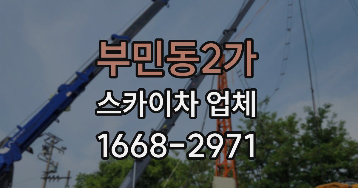 부민동2가 스카이차 업체