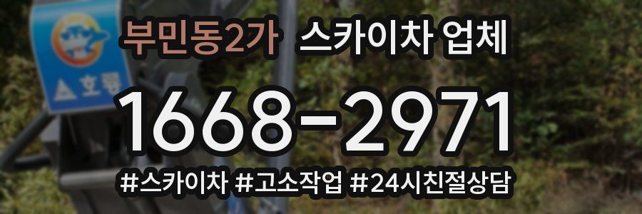 부민동2가 스카이차 업체