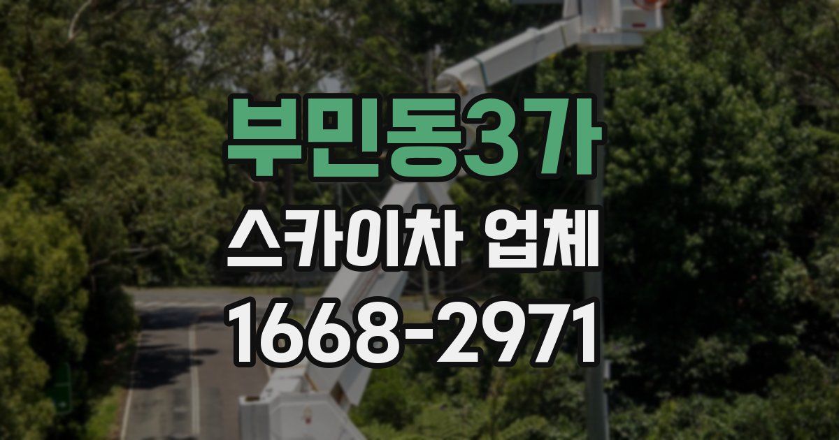 부민동3가 스카이차 업체