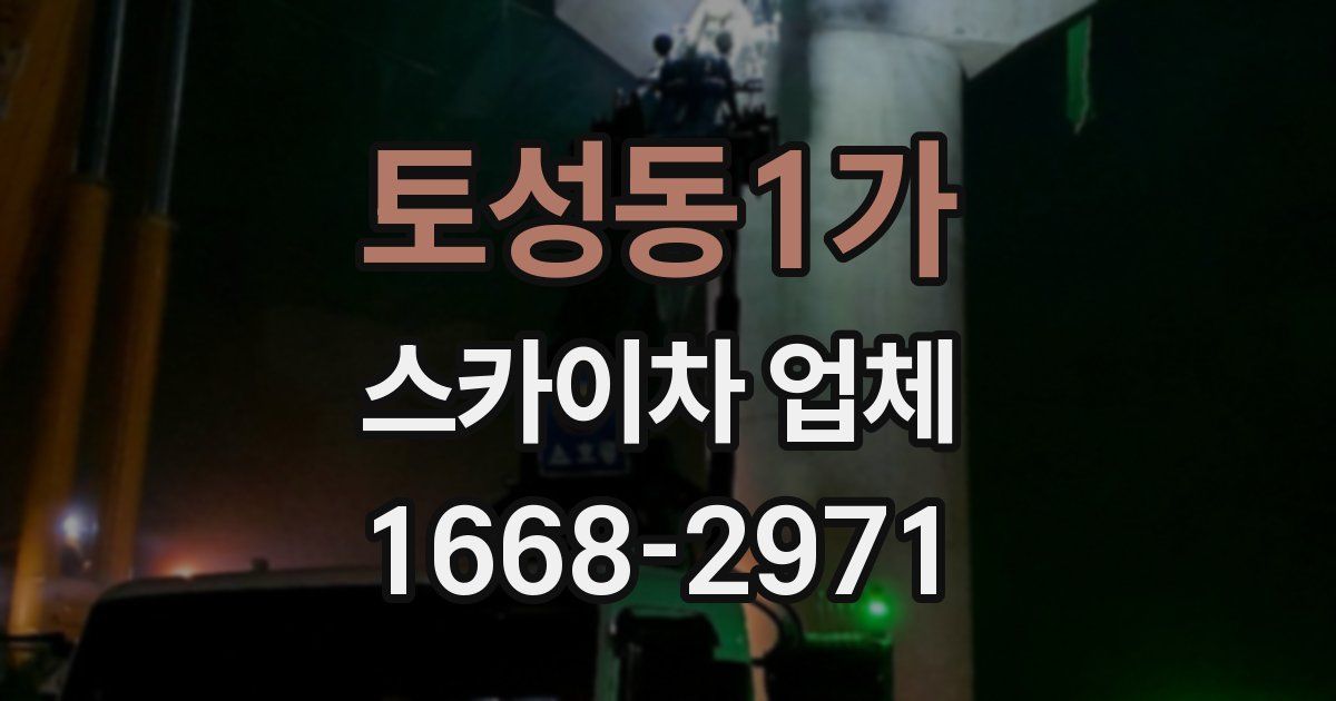 토성동1가 스카이차 업체