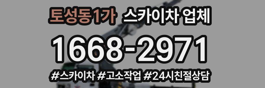 토성동1가 스카이차 업체
