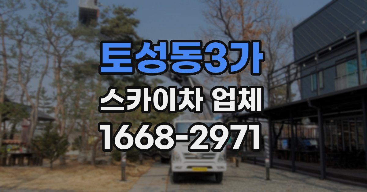 토성동3가 스카이차 업체