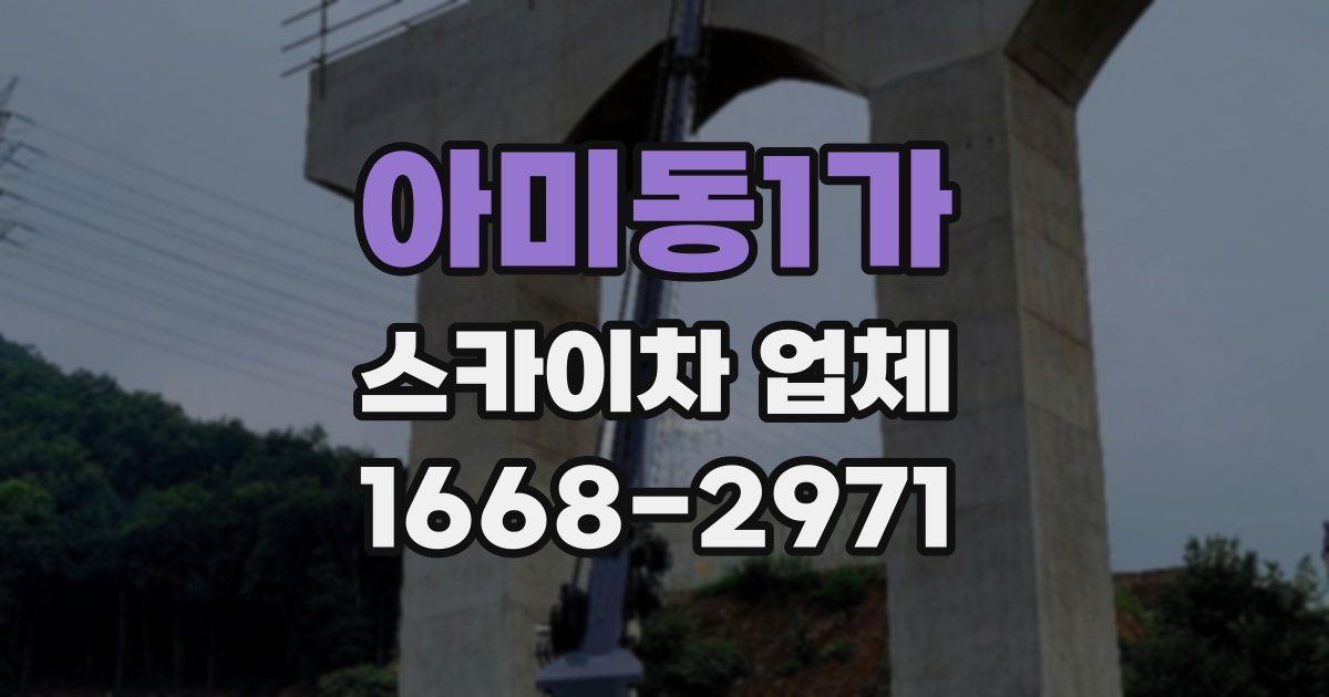 아미동1가 스카이차 업체