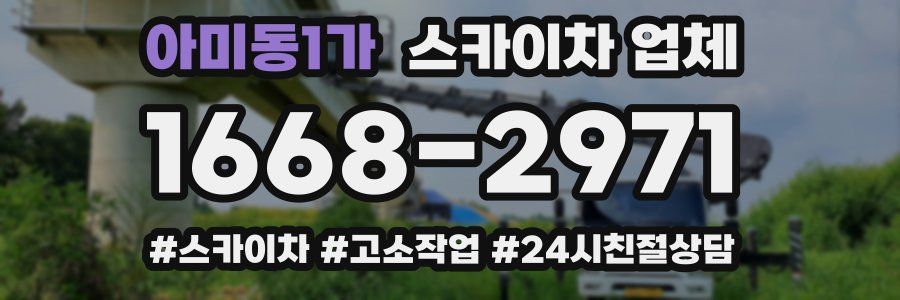 아미동1가 스카이차 업체