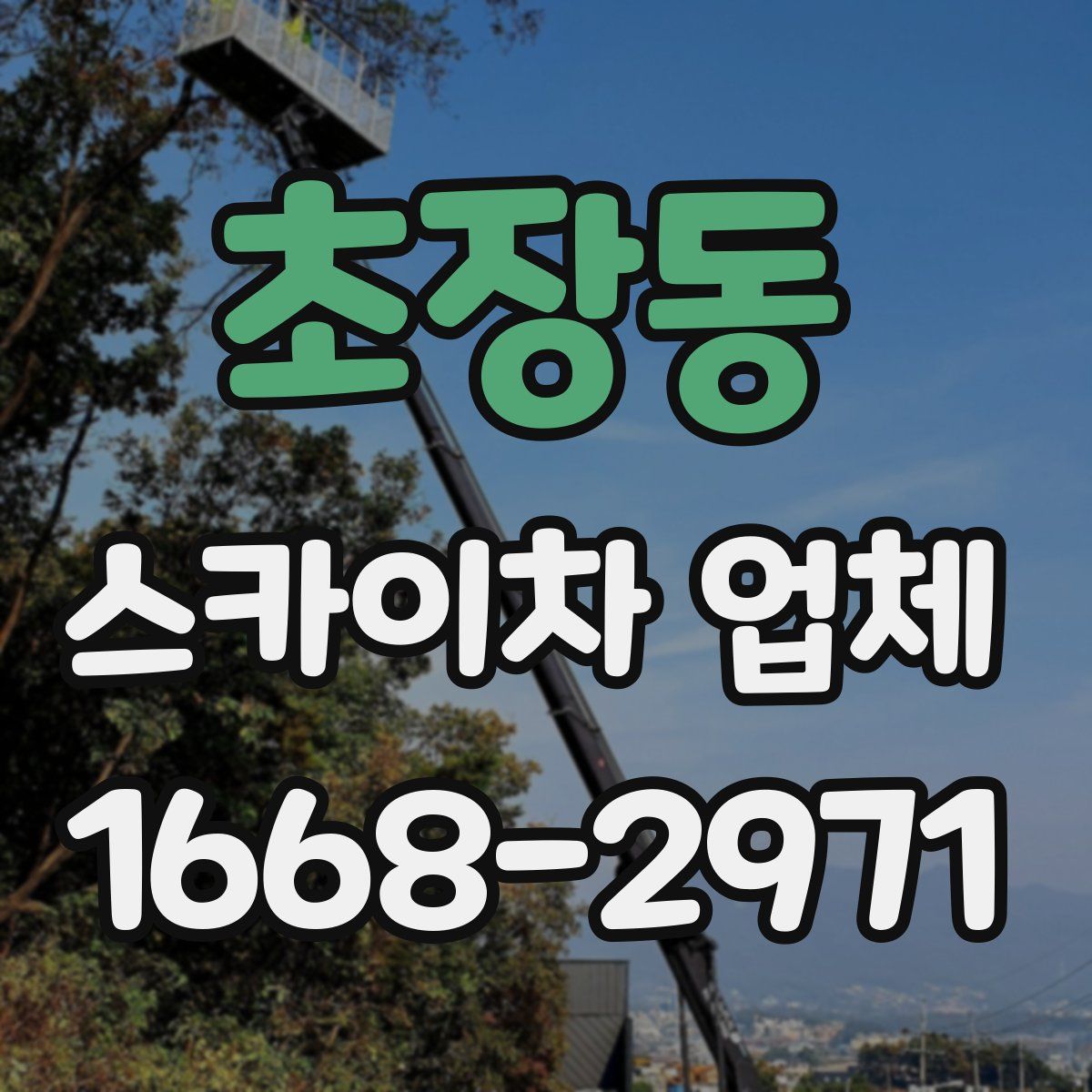 초장동 스카이차 업체