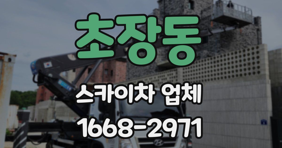 초장동 스카이차 업체